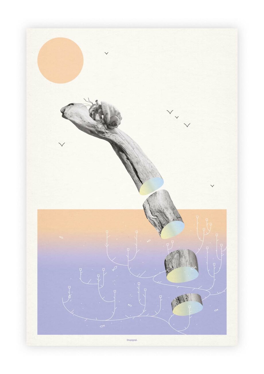 Affiche poster bernard l'hermite pagure
